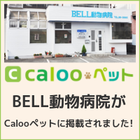 calooペット