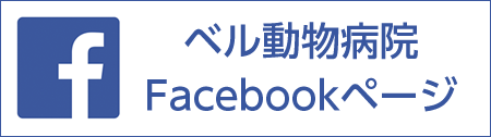 ベル動物病院Facebookページ